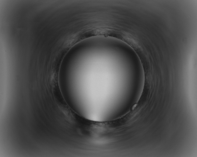 X0000086730079200704131116