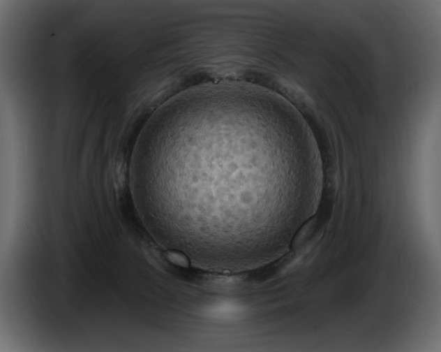 X0000086730081200704131116