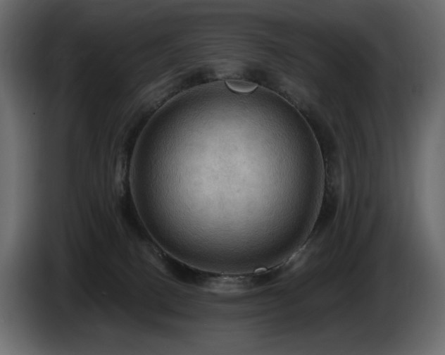 X0000086730082200704131116