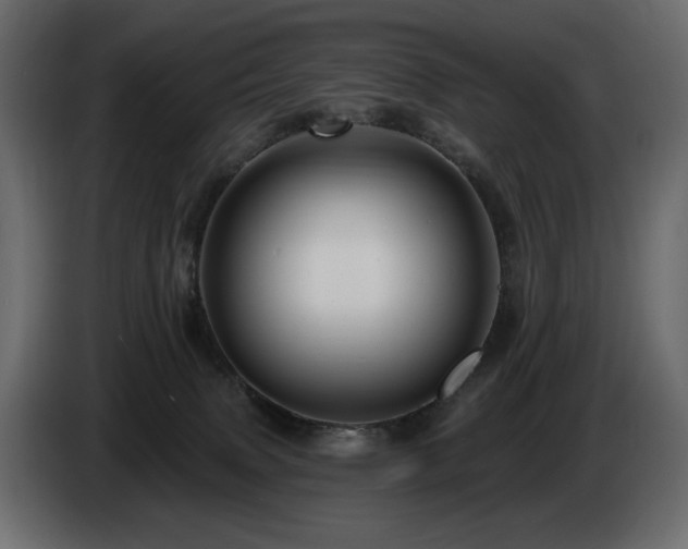 X0000086730083200704131116