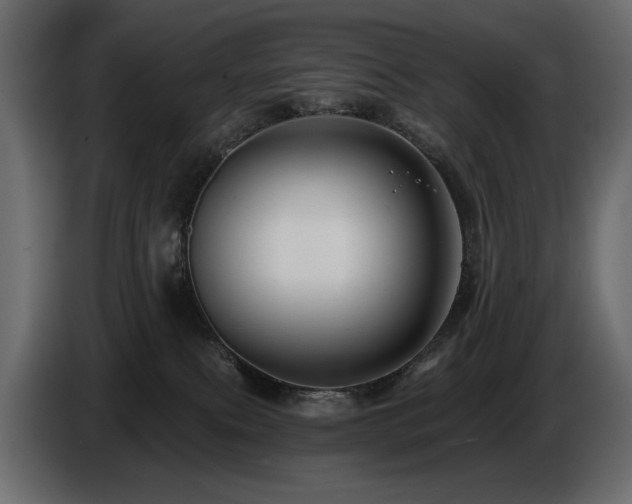 X0000086730087200704131116