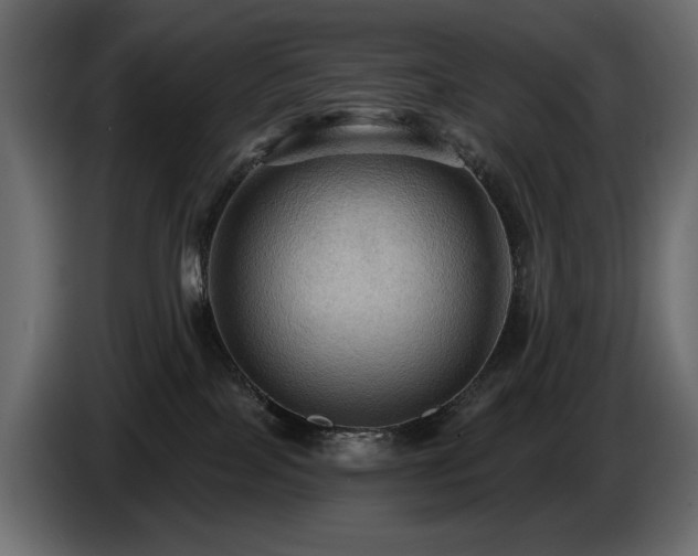 X0000086730089200704131116