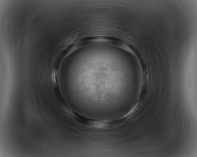 X0000086730094200704131116