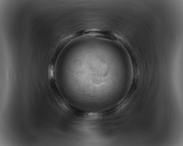 X0000086730095200704131116