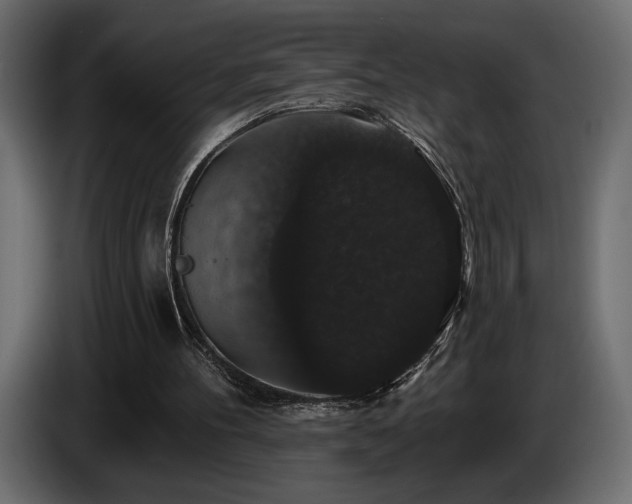 X0000086730100200704131115