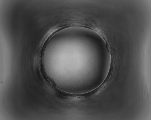 X0000086730103200704131115