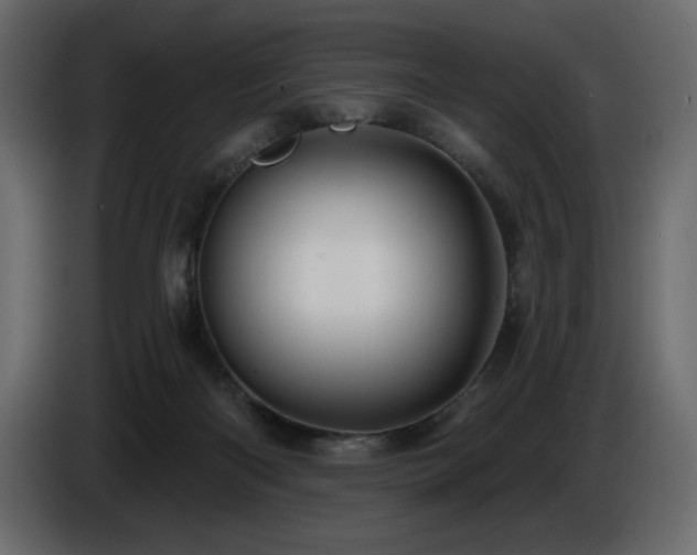 X0000086730122200704131115