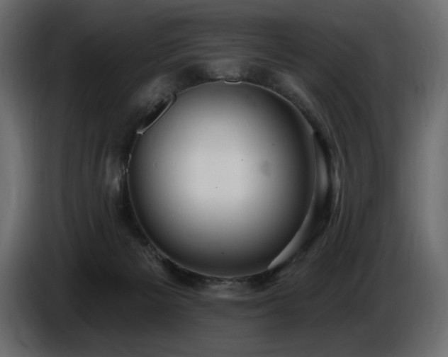 X0000086730125200704131115