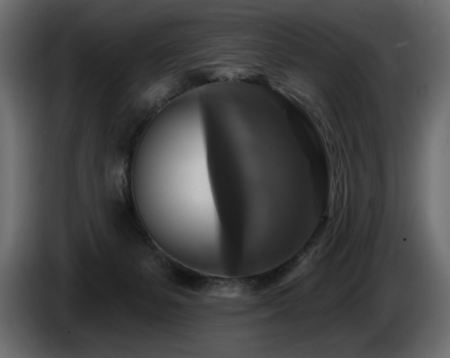 X0000086730127200704131115