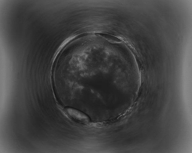 X0000086730147200704131114