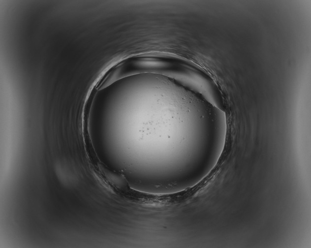 X0000086730148200704131114
