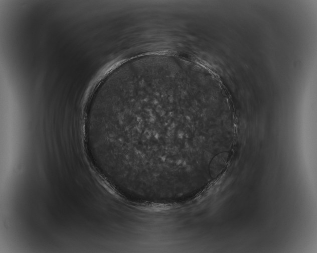 X0000086730149200704131114