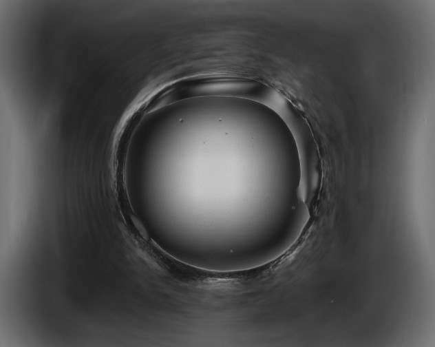 X0000086730150200704131114