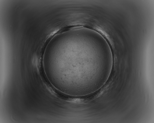 X0000086730153200704131114