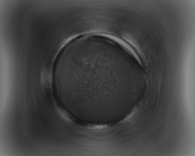 X0000086730156200704131114