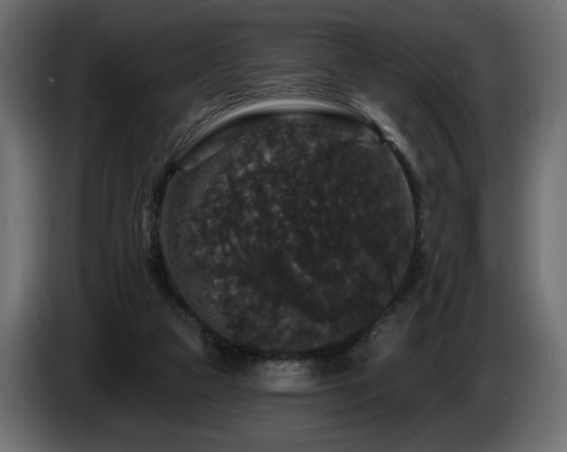 X0000086730161200704131114