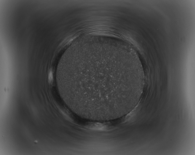 X0000086730166200704131114