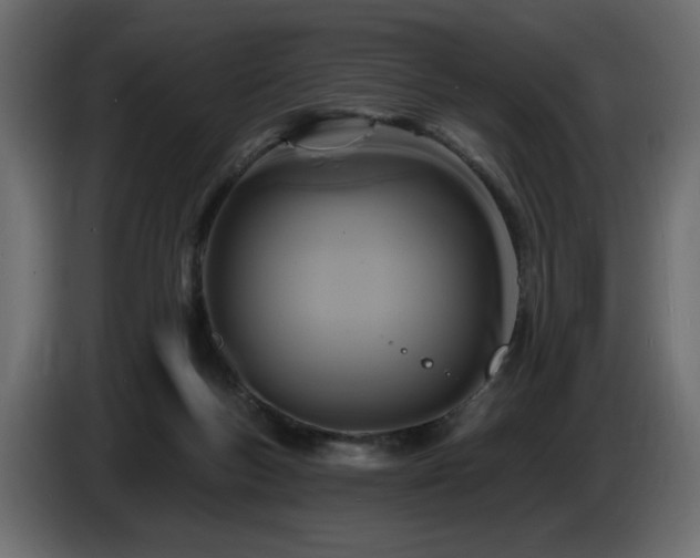 X0000086730167200704131114