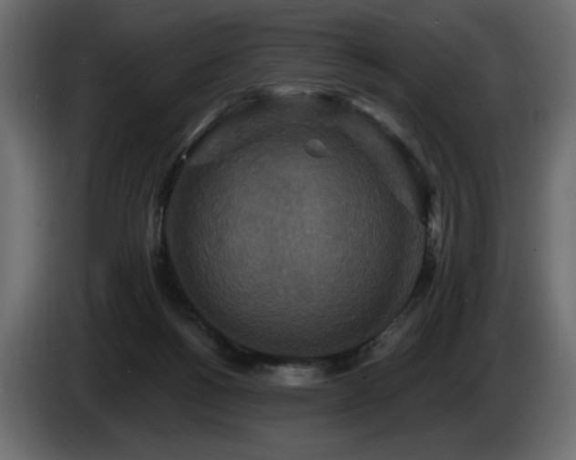 X0000086730168200704131114