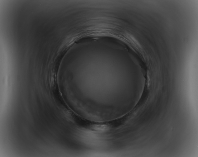 X0000086730169200704131114