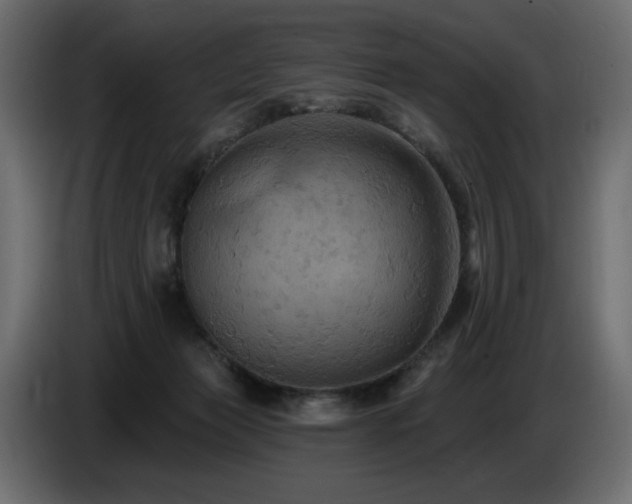 X0000086730173200704131114