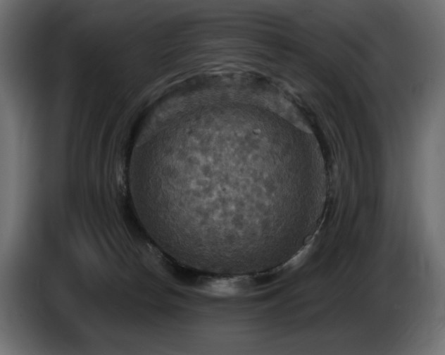 X0000086730178200704131114