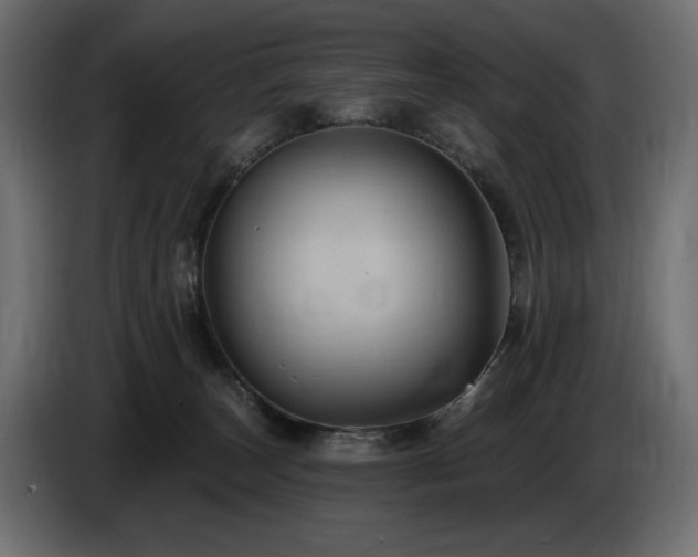 X0000086730179200704131114