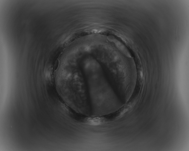 X0000086730181200704131114