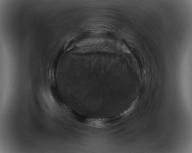 X0000086730182200704131114
