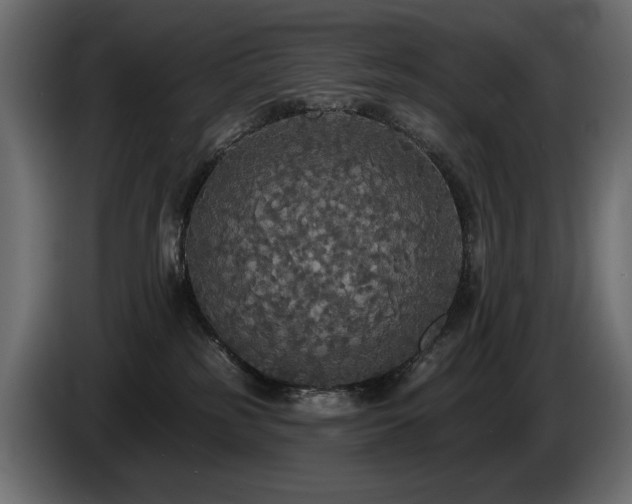 X0000086730185200704131114