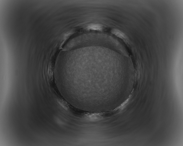 X0000086730186200704131114