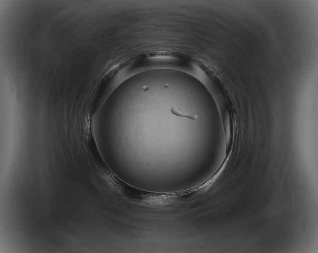 X0000086730190200704131115