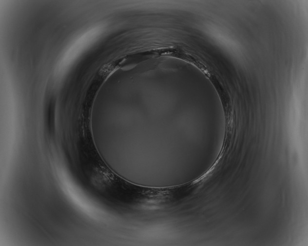 X0000086730191200704131115