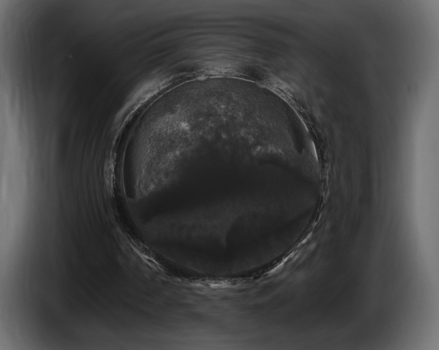 X0000086730194200704131114