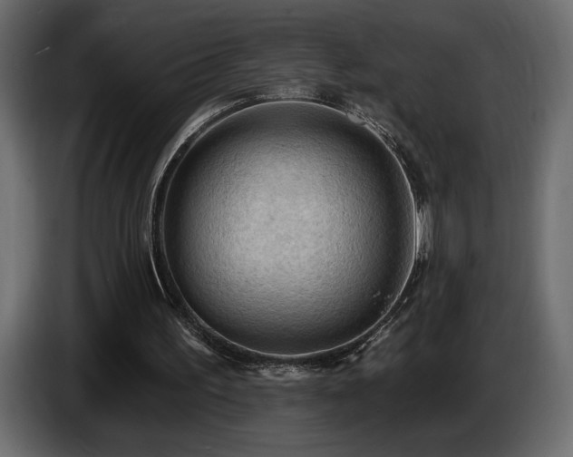 X0000086730195200704131114