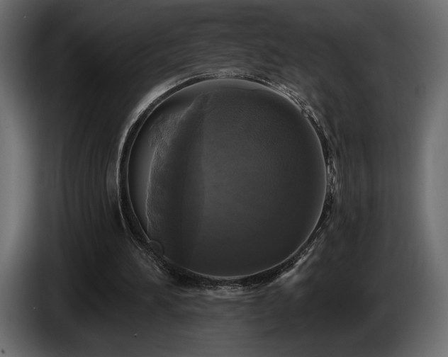 X0000086730196200704131114