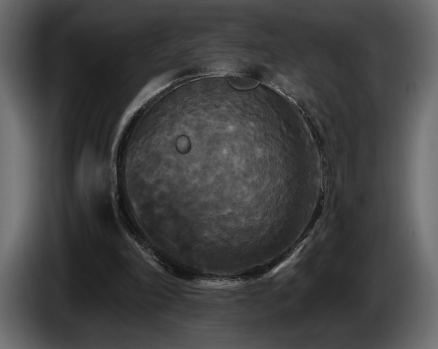 X0000086730198200704131114