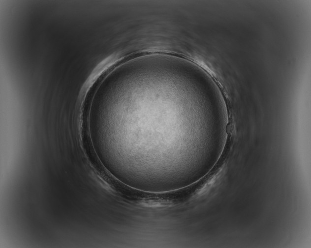 X0000086730199200704131114