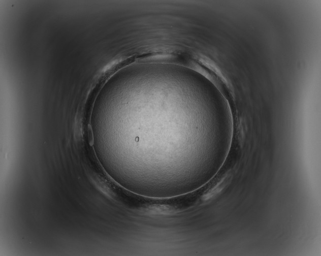 X0000086730203200704131114