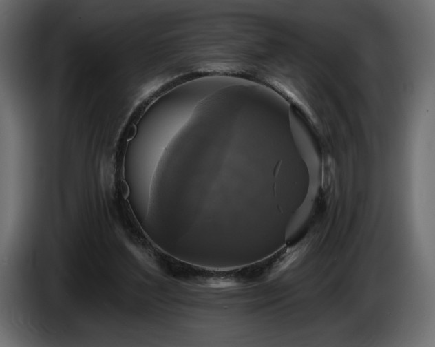 X0000086730204200704131114