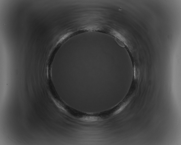 X0000086730205200704131114
