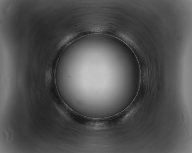 X0000086730208200704131114