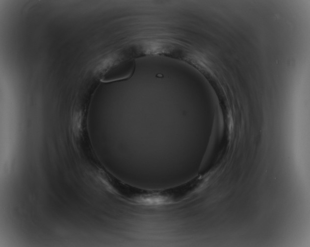 X0000086730219200704131114