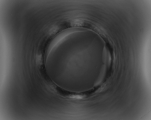 X0000086730224200704131113