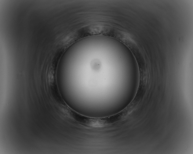 X0000086730226200704131113