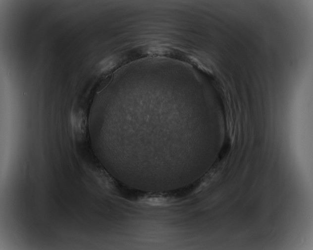X0000086730228200704131113