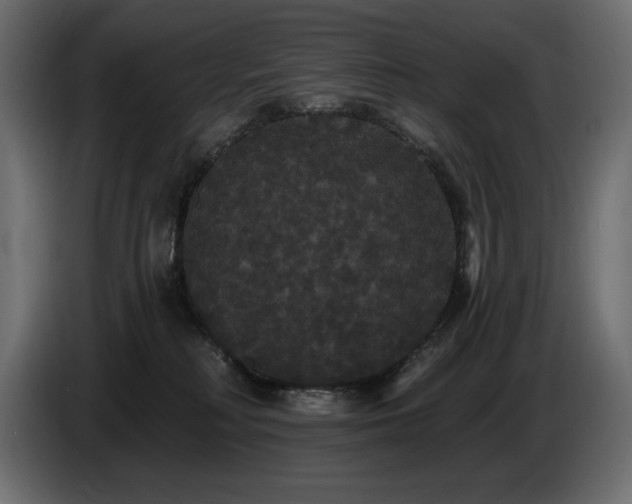 X0000086730230200704131113