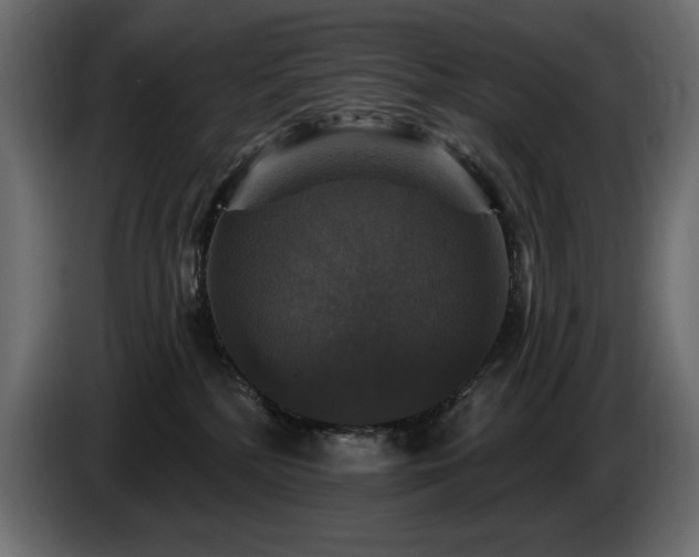 X0000086730232200704131113