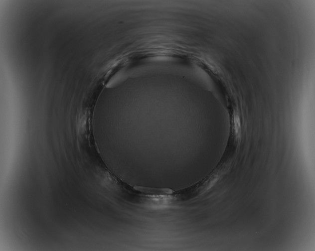 X0000086730233200704131113