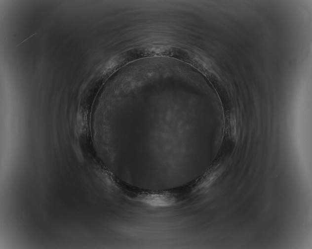 X0000086730236200704131113